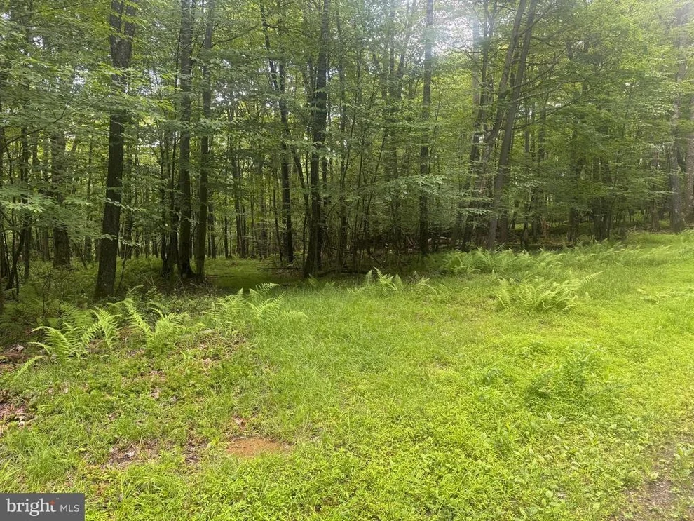 Unit for sale at Lot 18 BUCK DRIVE, OAKLAND, MD 21550