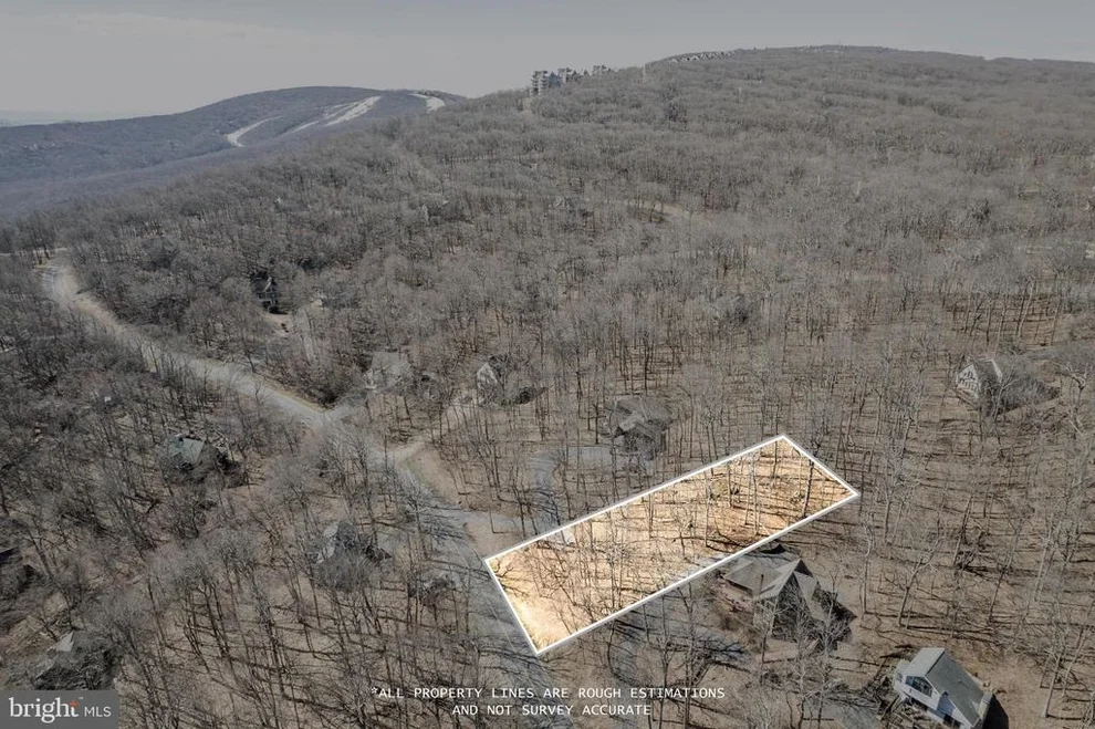Unit for sale at 688 SHAMOKIN SPRINGS TRL TRAIL, WINTERGREEN, VA 22958