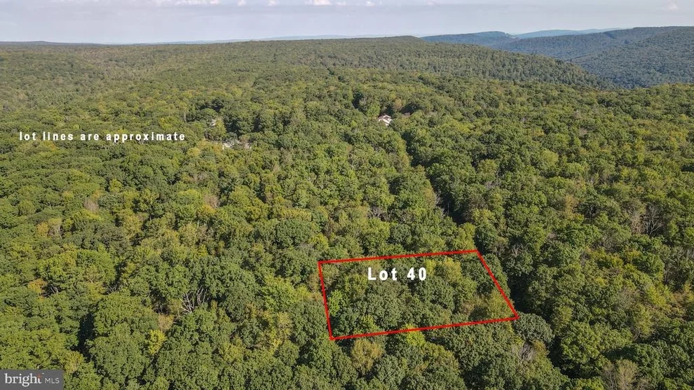 Unit for sale at Lot 40 DOGWOOD DRIVE, OAKLAND, MD 21550