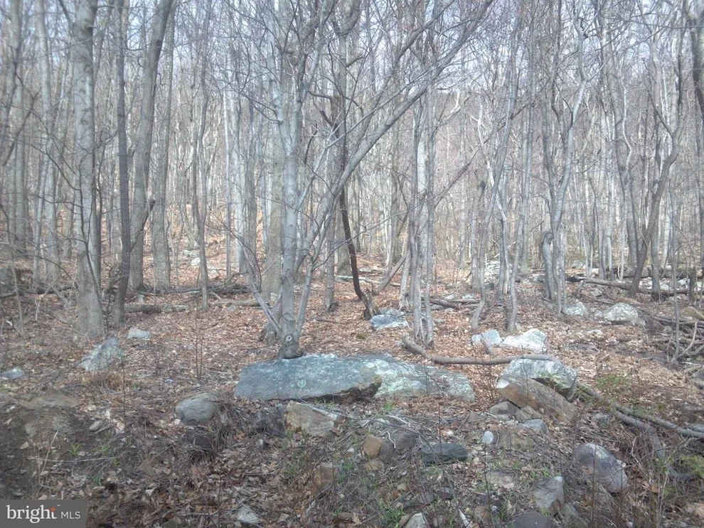 Unit for sale at FOX RUN LANE, WINCHESTER, VA 22602