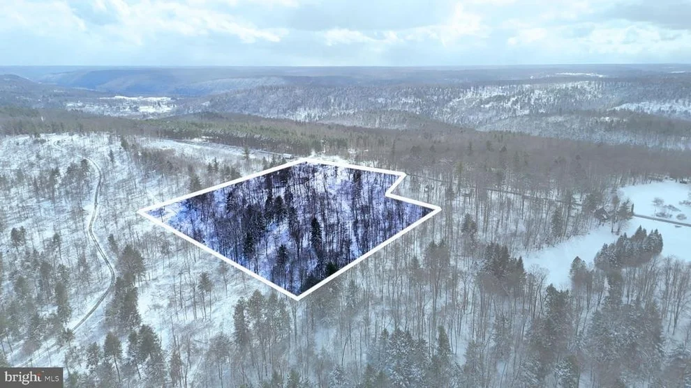 Unit for sale at 0 MORRISON HILL ROAD, TIDIOUTE, PA 16351