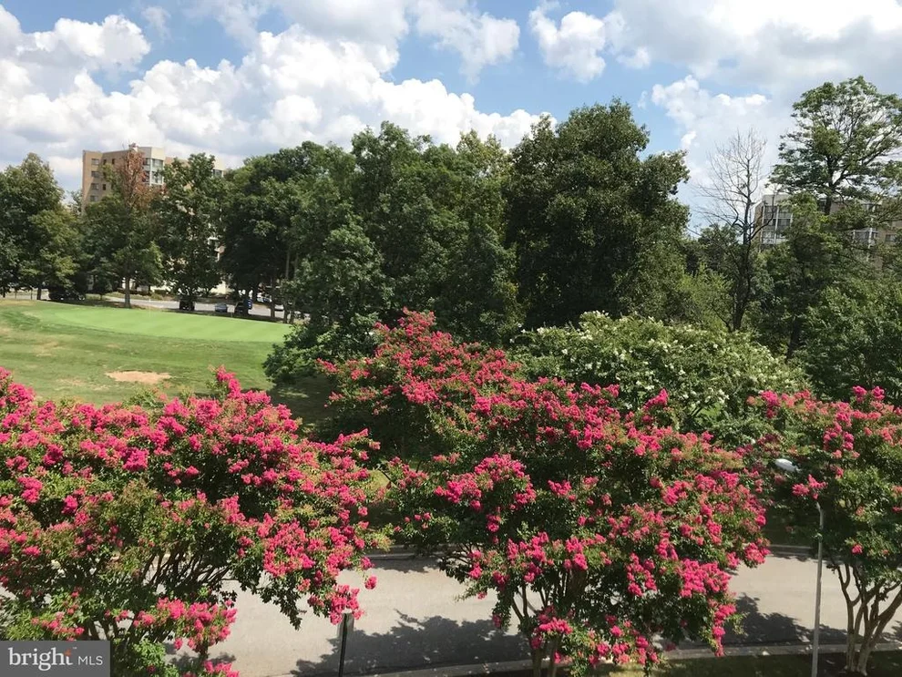 Unit for sale at 15121 GLADE DRIVE, SILVER SPRING, MD 20906