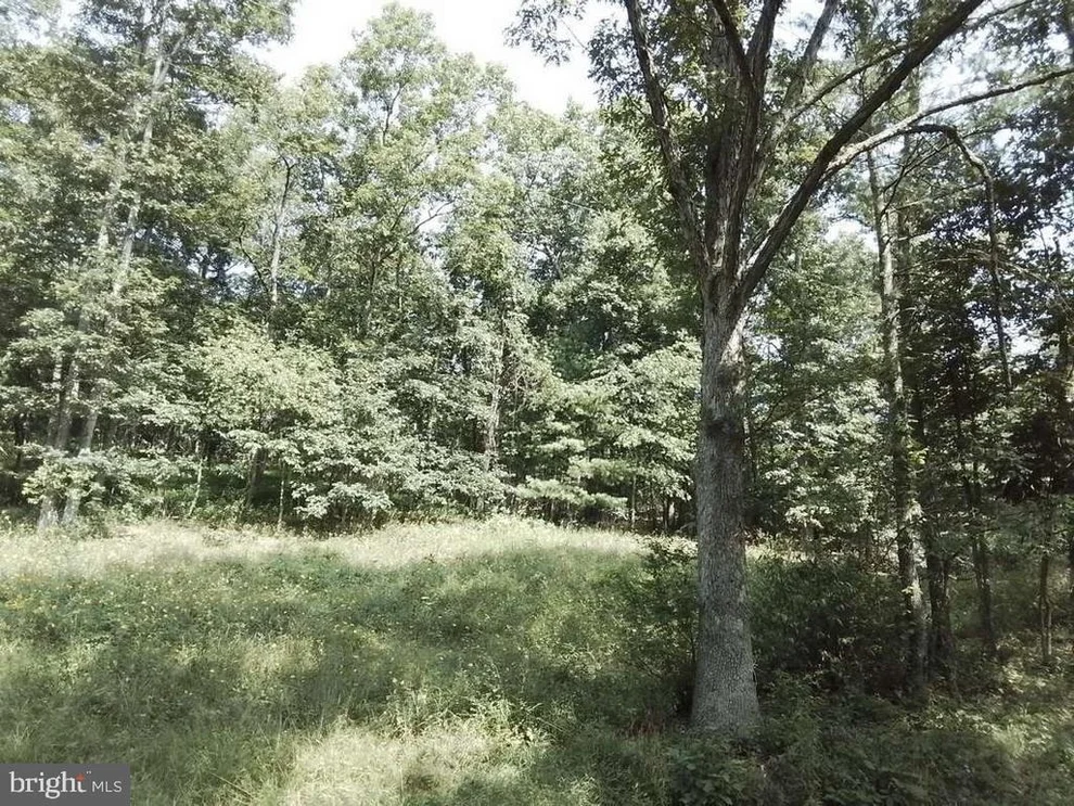 Unit for sale at 11731-11737 TOWN CREEK ROAD NE, FLINTSTONE, MD 21530