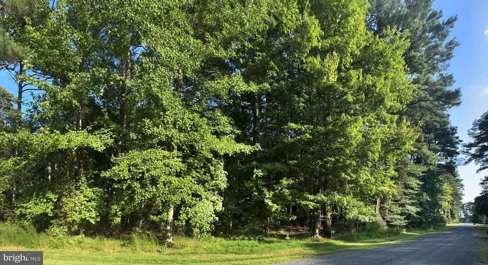 Unit for sale at Lot 1076 AMIDSHIP DRIVE, GREENBACKVILLE, VA 23356