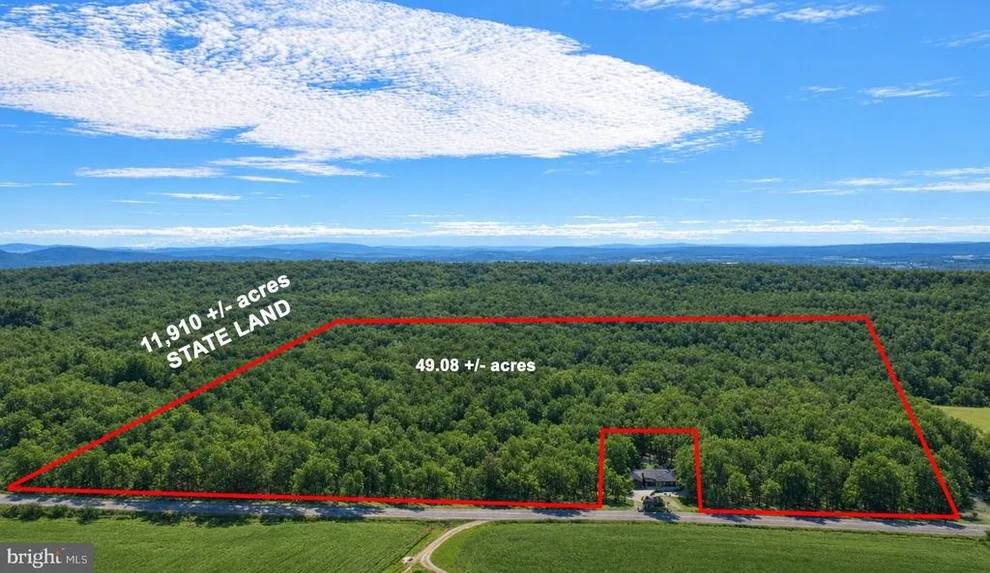 Unit for sale at 49.08 Acres MARYLAND HIGHWAY, SWANTON, MD 21561