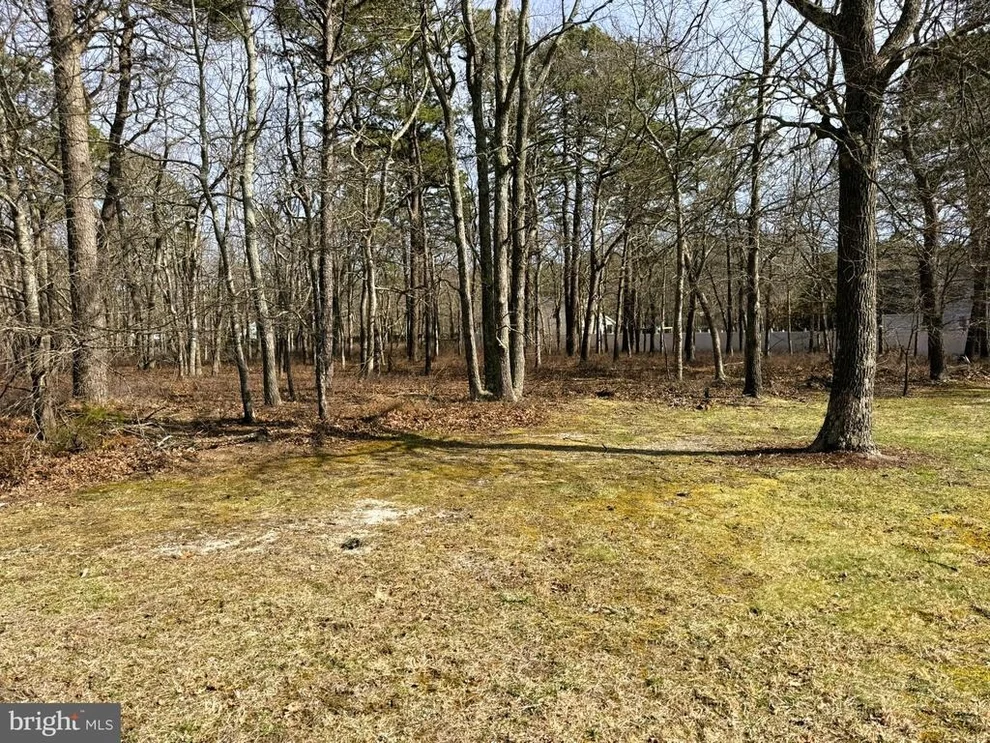 Unit for sale at 20 PINEWOOD DRIVE, LITTLE EGG HARBOR TWP, NJ 08087