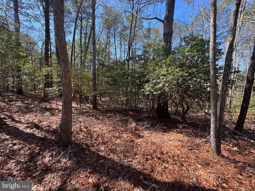 Unit for sale at Lot 1897 BUCCANEER BOULEVARD, GREENBACKVILLE, VA 23356