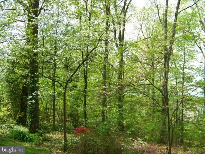 Unit for sale at QUINN ROAD, FREDERICK, MD 21701