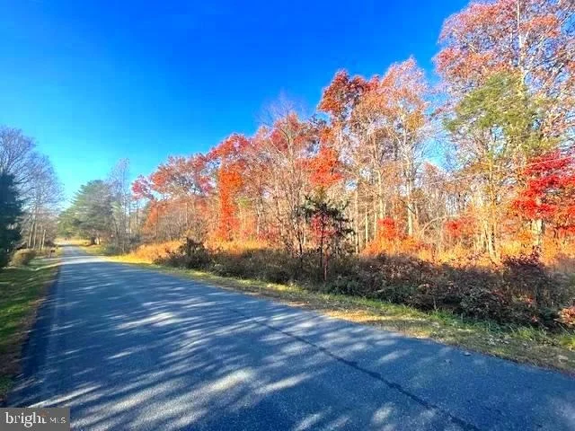Unit for sale at 0 GEORGE JAMES LOOP, RADIANT, VA 22732