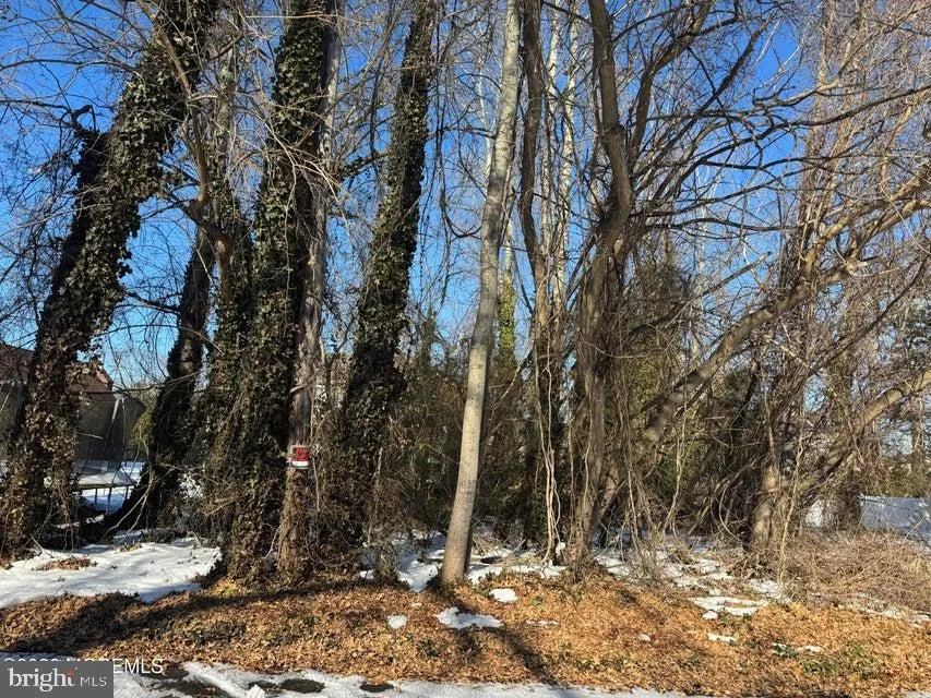 Unit for sale at 0 LAWSHE DRIVE, PINE BEACH, NJ 08741