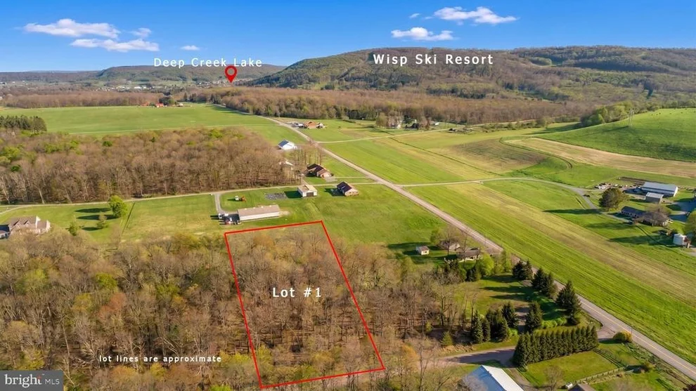 Unit for sale at Lot 1 ASPEN WOODS DRIVE, MC HENRY, MD 21541