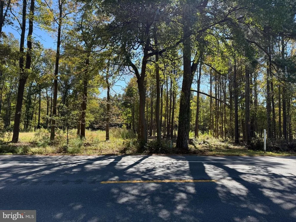 Unit for sale at 0 LAUREL RD, MILLSBORO, DE 19966
