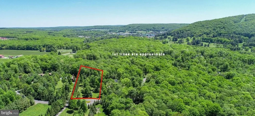Unit for sale at 5 JAKES DRIVE, MC HENRY, MD 21541
