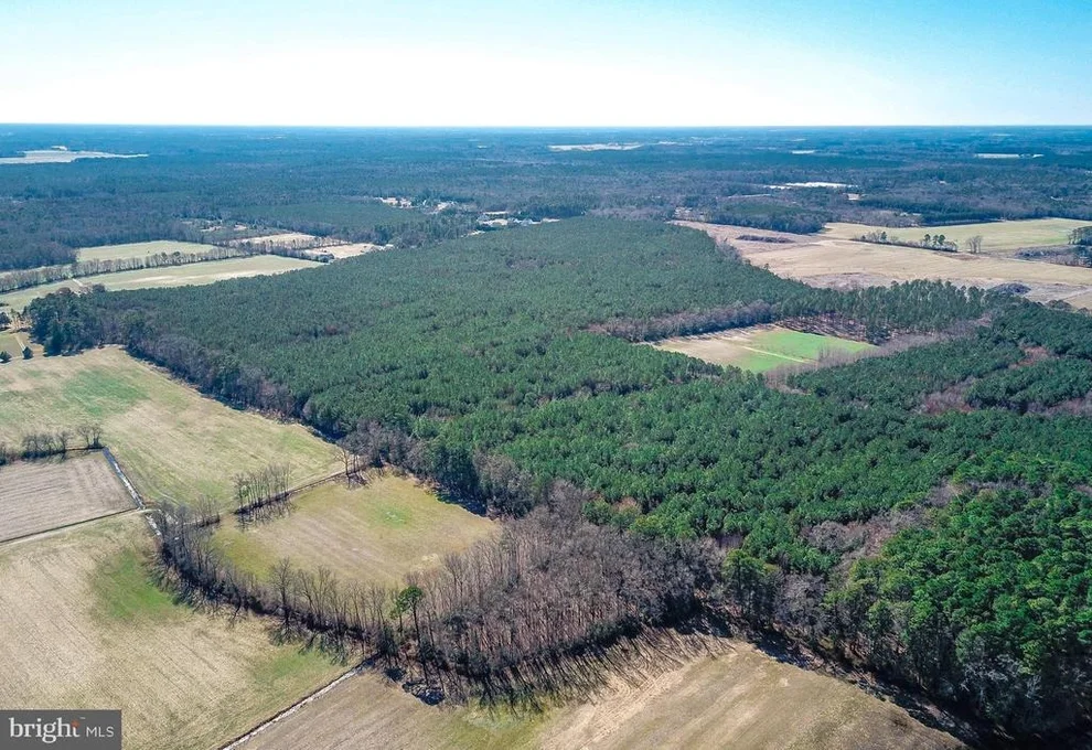 Unit for sale at 0 MELSON ROAD, DELMAR, MD 21875