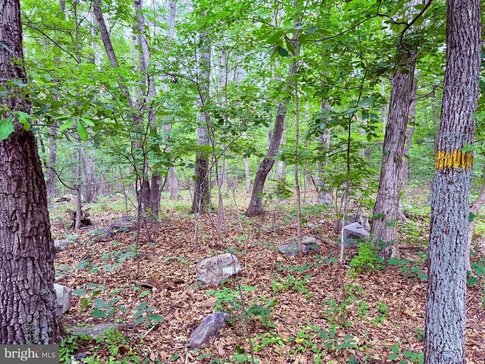 Unit for sale at 21908 WHITE OAK ROAD, HAGERSTOWN, MD 21740