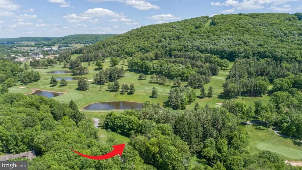 Unit for sale at 21 FANTASY LANE, MC HENRY, MD 21541
