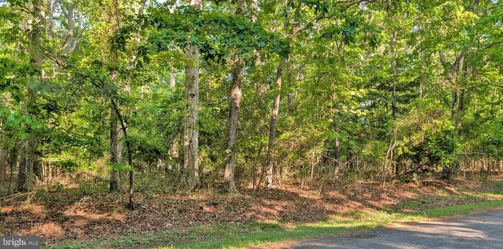 Unit for sale at Lot 2466 BOUNTY COURT, GREENBACKVILLE, VA 23356