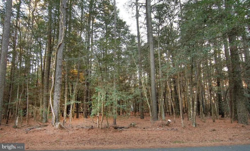 Unit for sale at Lot 827 CASTAWAY DRIVE, GREENBACKVILLE, VA 23356