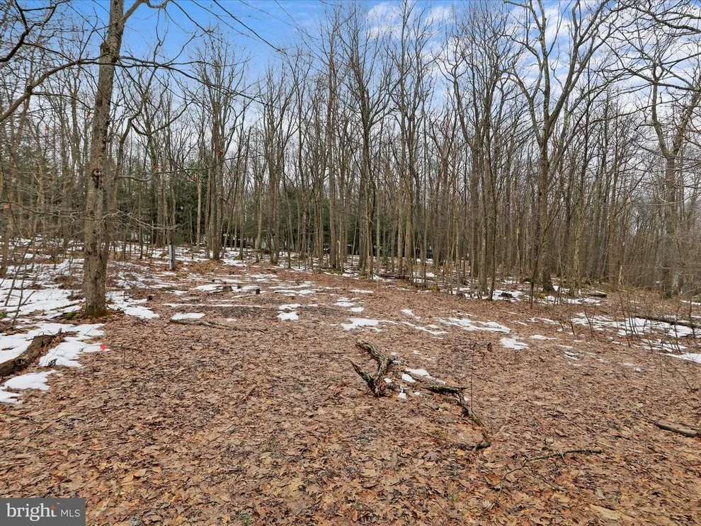Unit for sale at 4 N RIDGE ROAD, MC HENRY, MD 21541