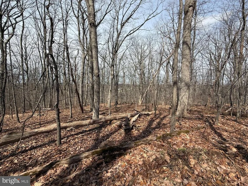 Unit for sale at 2849 MANCHESTER ROAD, WESTMINSTER, MD 21157