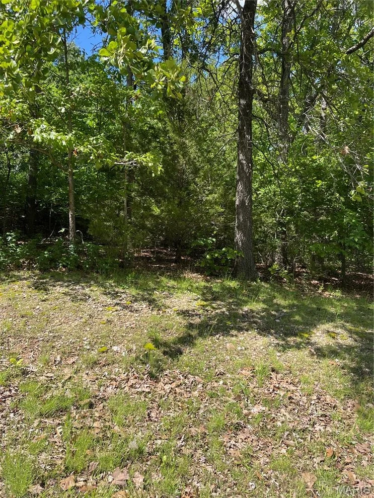 Unit for sale at 000 Plaza Lane, Lebanon, MO 65536