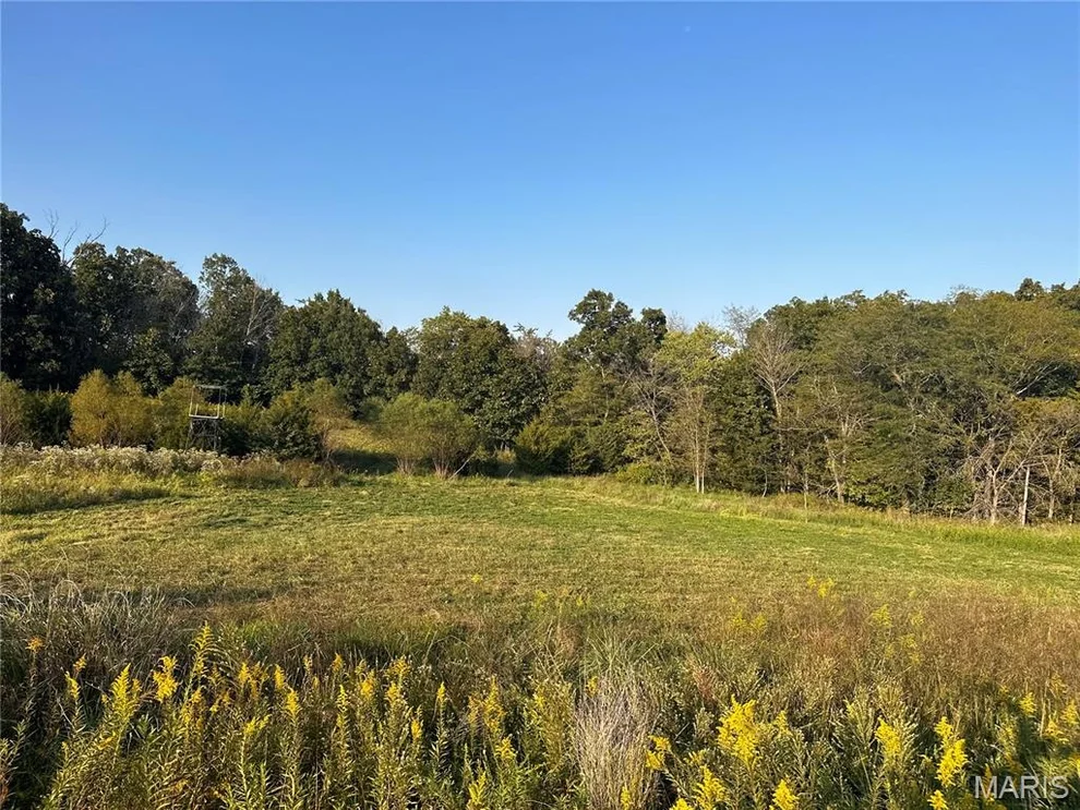 Unit for sale at 53424 Trabue Lane, Hannibal, MO 63401