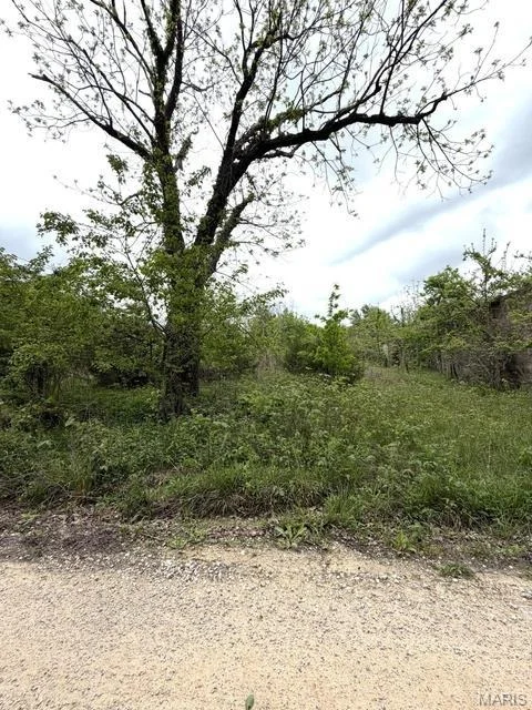 Unit for sale at 6919 County Road 665, Birch Tree, MO 65438