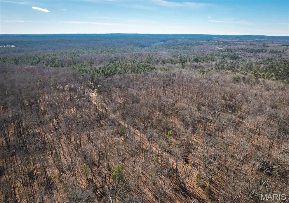Unit for sale at 0 Deason Drive-Tract 1, Licking, MO 65542
