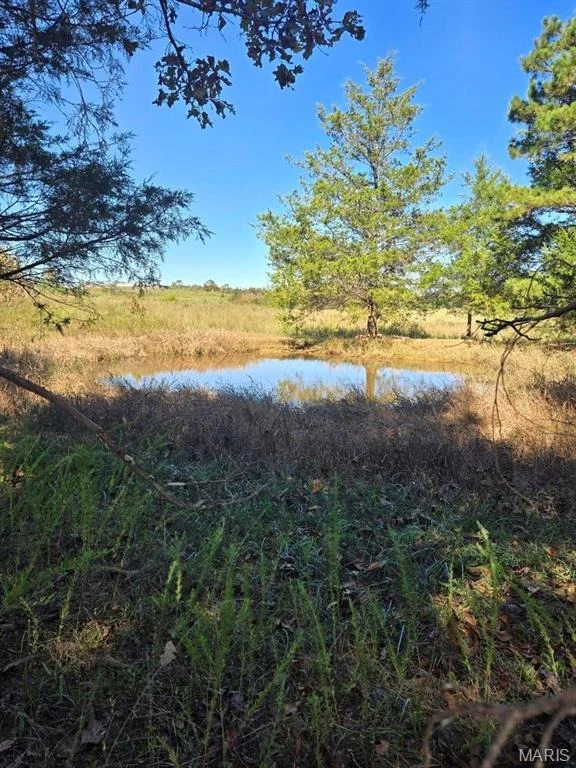 Unit for sale at 000 County Road 455, Birch Tree, MO 65438