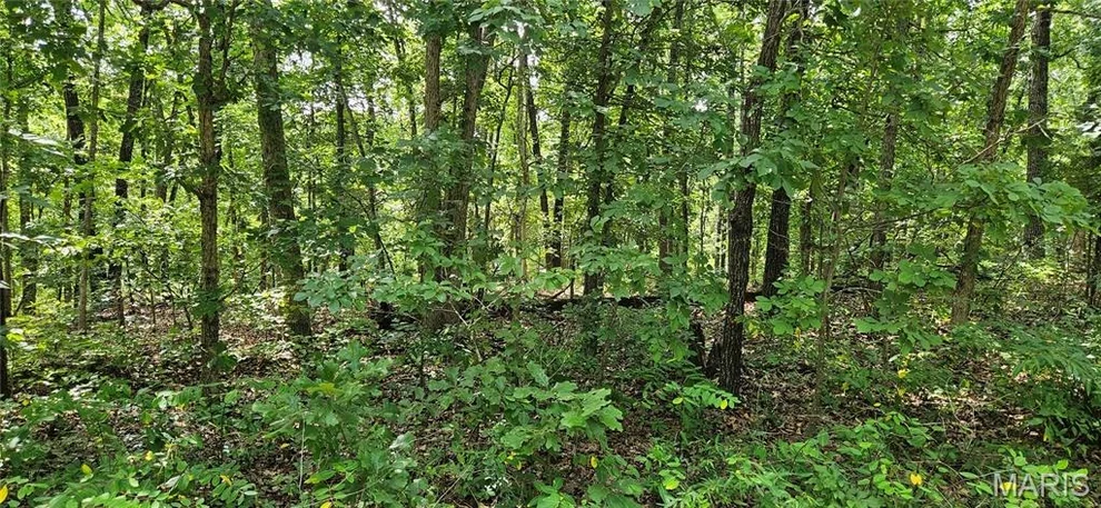 Unit for sale at 0 County Road 4050, Salem, MO 65560