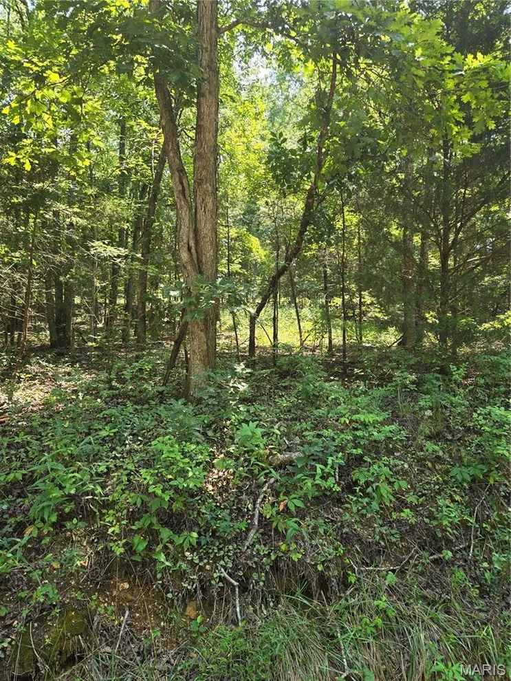 Unit for sale at 0001 County Road 421, Birch Tree, MO 65438