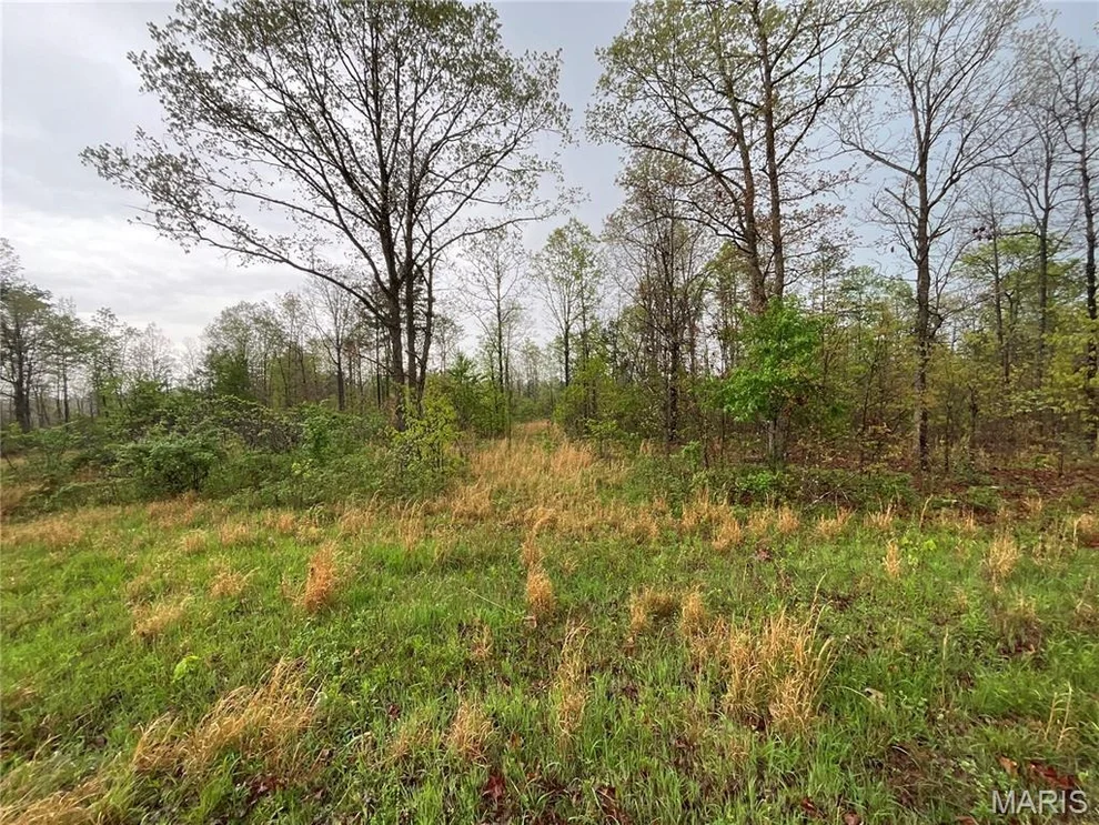 Unit for sale at Lot #9 Lake Way, Winona, MO 65588