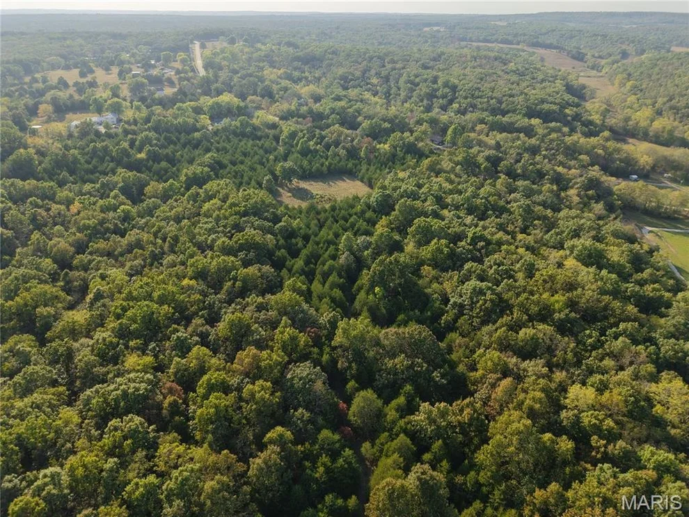 Unit for sale at 0 Calvin Lane, Dixon, MO 65459