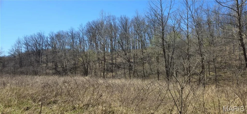 Unit for sale at 0 County Road 422, Ellington, MO 63638