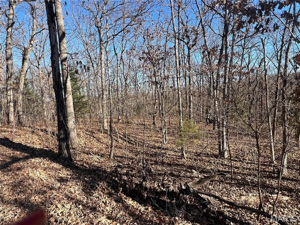 Unit for sale at TBD Thong Tree Road, Camdenton, MO 65020
