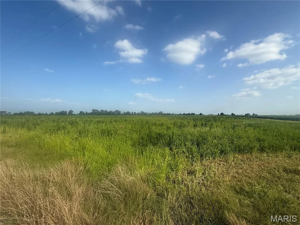 Unit for sale at 0 County Road 406, Hayti, MO 63851