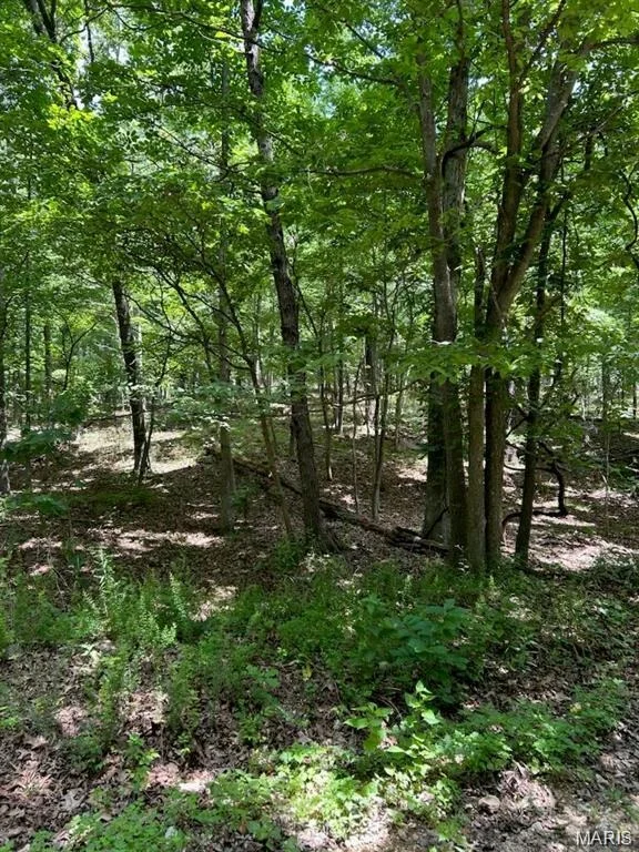 Unit for sale at 0 Hargrove Road, Dixon, MO 65584