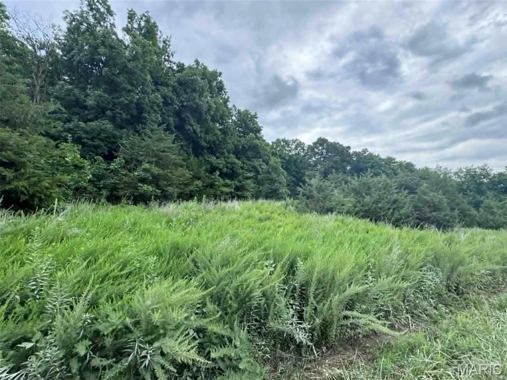 Unit for sale at 0 Walnut Street Place, New London, MO 63459