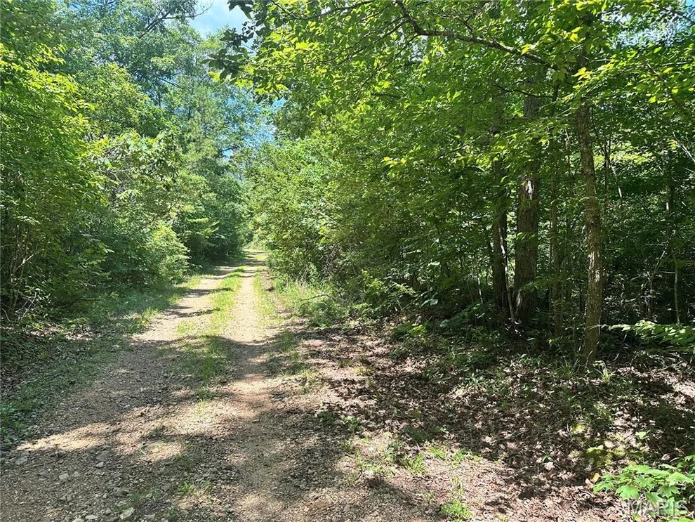 Unit for sale at 00 Kaw Court, Annapolis, MO 63620