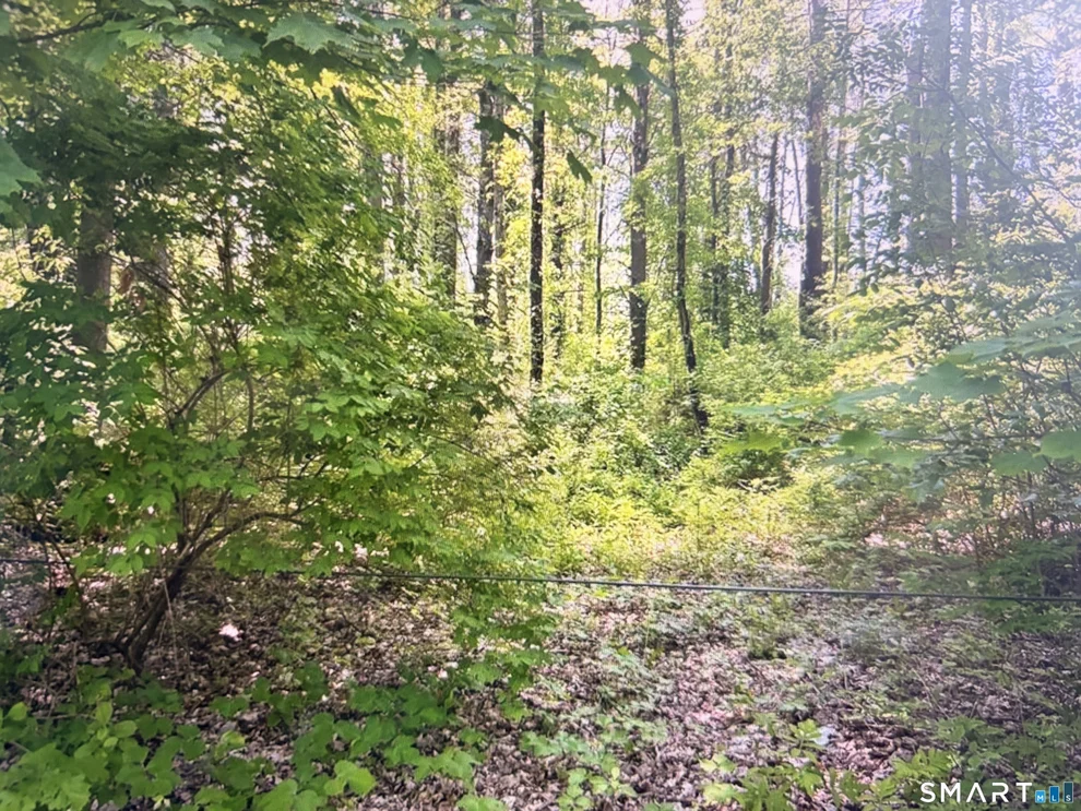 Unit for sale at 62 Route 126, Canaan, CT 06031