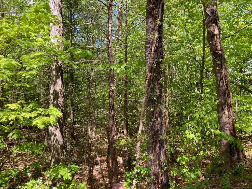 Unit for sale at Lot A Torringford West Street, Torrington, CT 06790