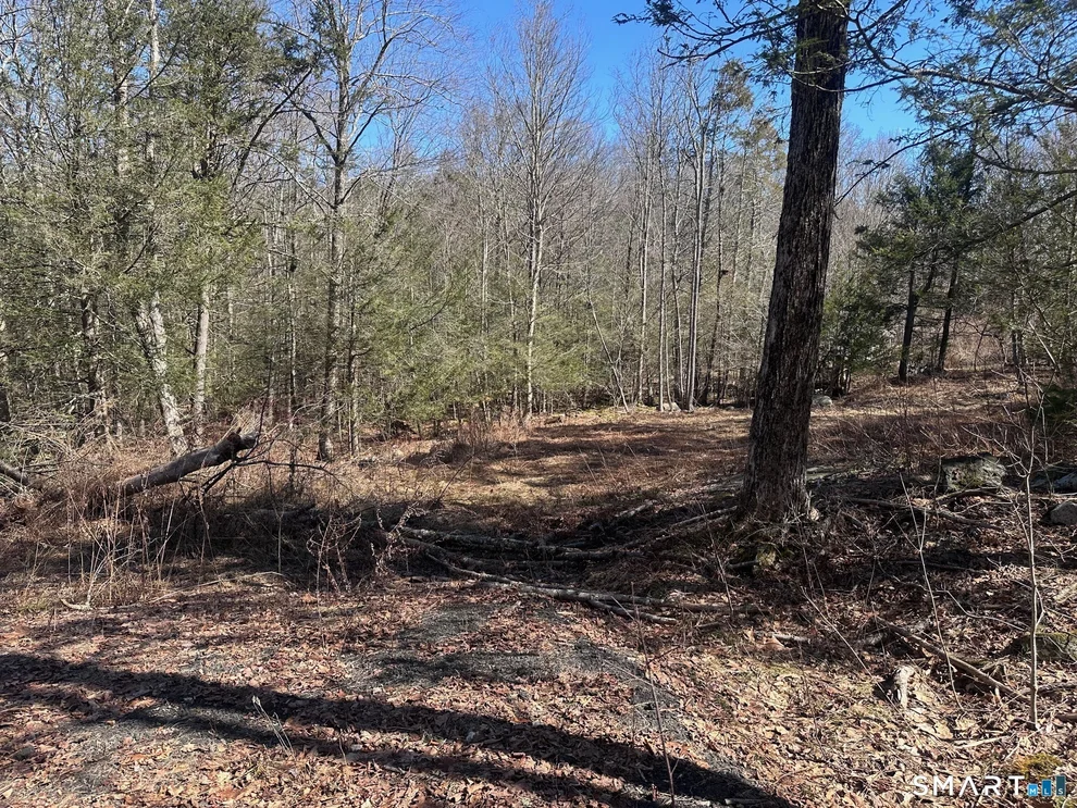 Unit for sale at 302 Gillette Road, New Hartford, CT 06057