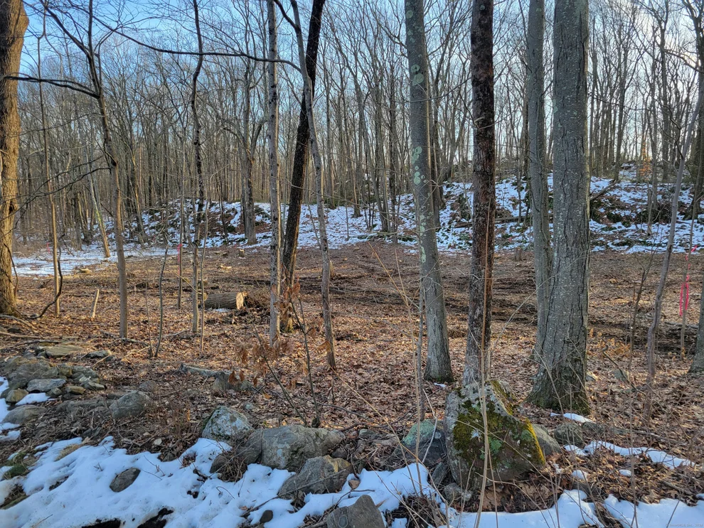 Unit for sale at 174 Kimberly Lane, Woodbury, CT 06798