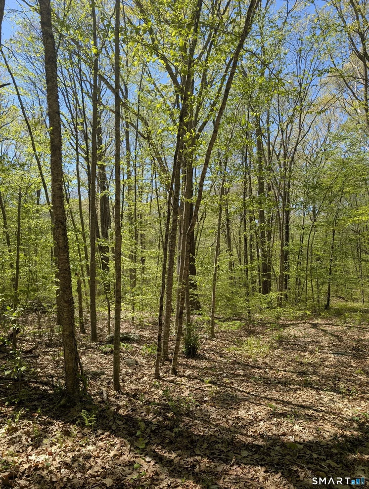 Unit for sale at Englewood Trail, Coventry, CT 06238