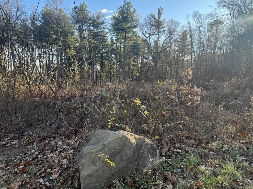 Unit for sale at 14 Cherrywood Drive, Ellington, CT 06029