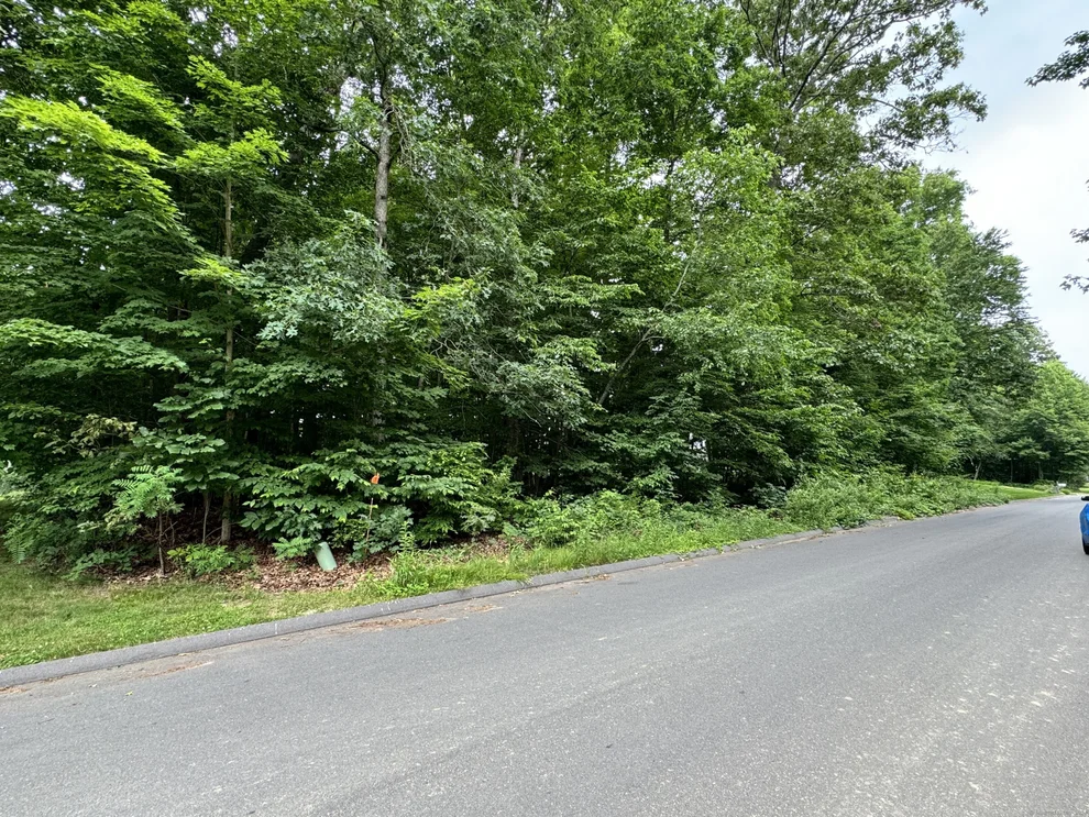 Unit for sale at 54 Tall Oak Drive, Coventry, CT 06238