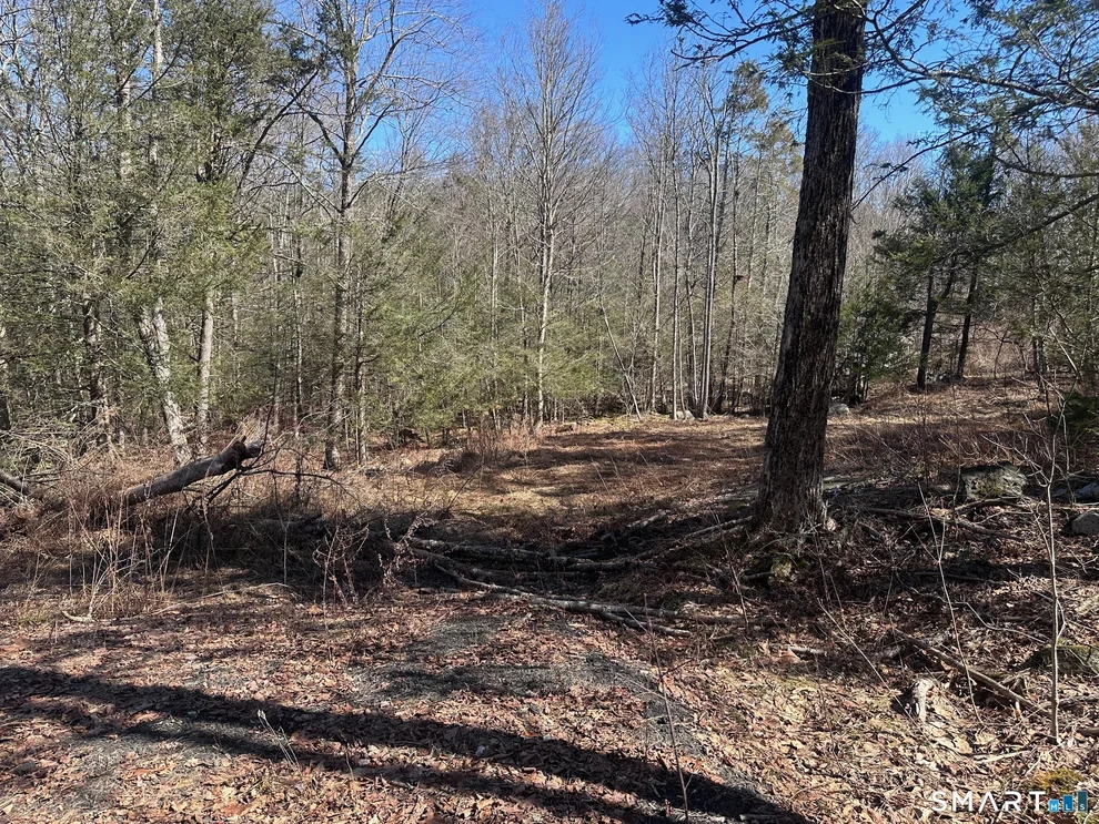 Unit for sale at 302 Gillette Road, New Hartford, CT 06057