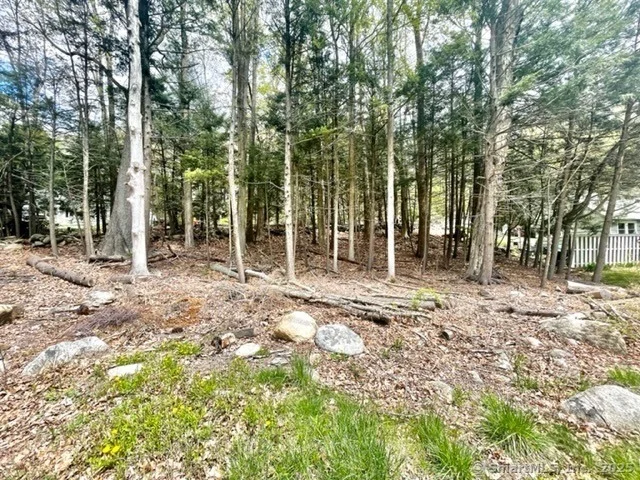 Unit for sale at 256 Colebrook Road, Winchester, CT 06098