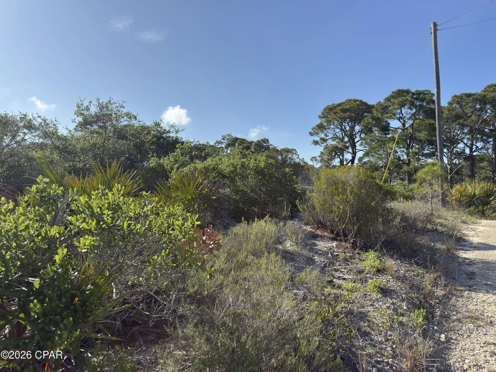 Unit for sale at 105 Sand Trace Drive, Cape San Blas, FL 32456