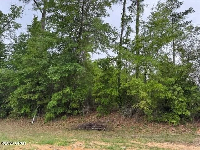 Unit for sale at 000 W Idlewood Drive, Wewahitchka, FL 32465